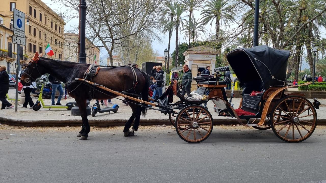 la bedda Sicilia Appartamento Palermo Esterno foto